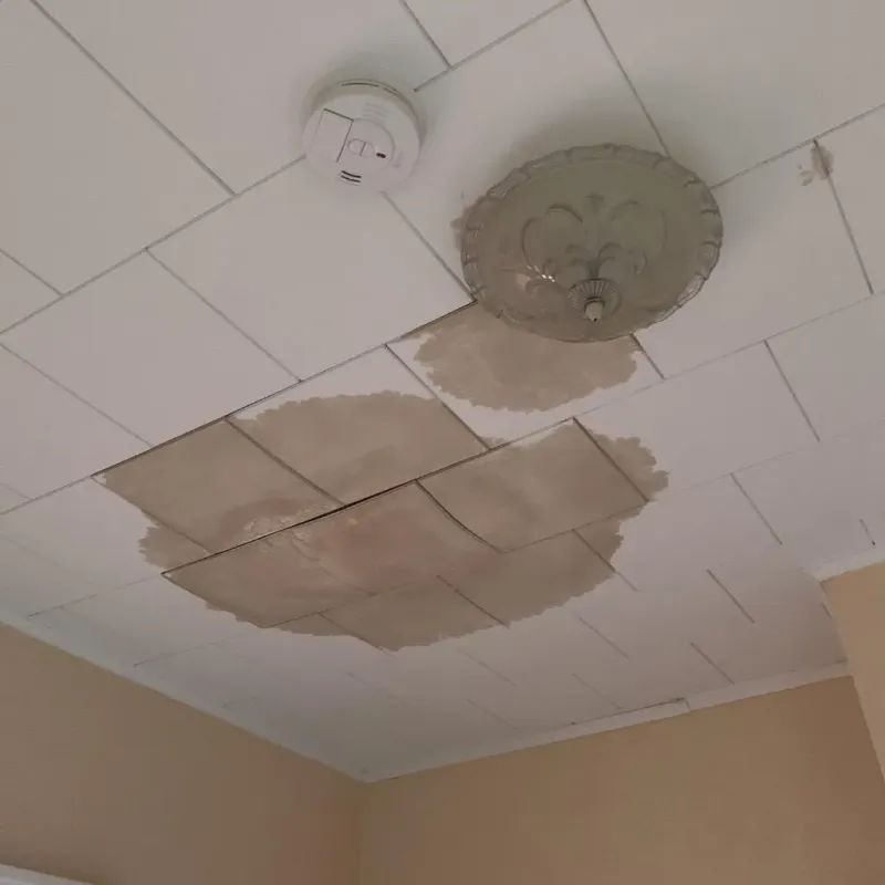 Ceiling Water Damage Repair in Decatur, WI