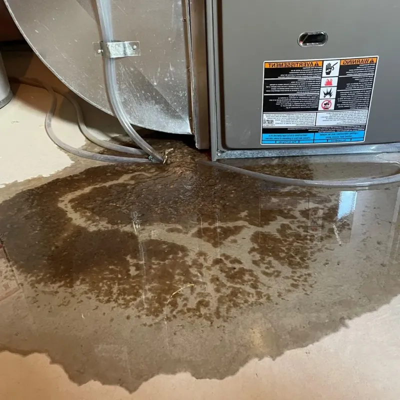 Pipe Burst and Leak Restoration in Decatur, WI
