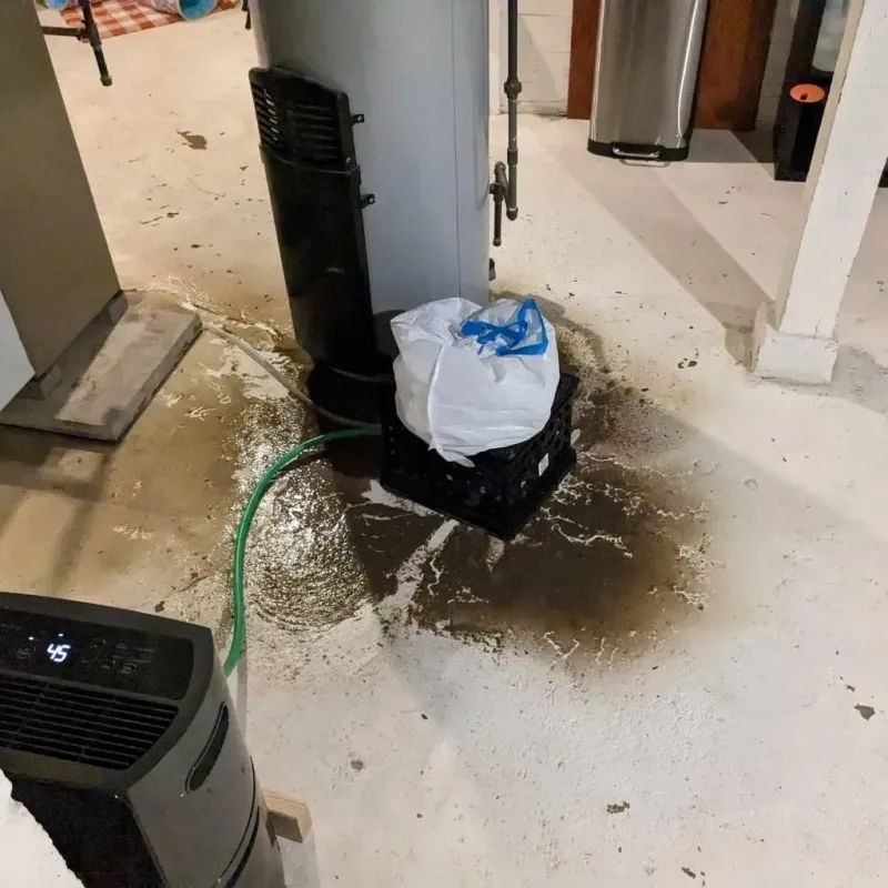 Sewage Backup Cleanup Service in Decatur, WI